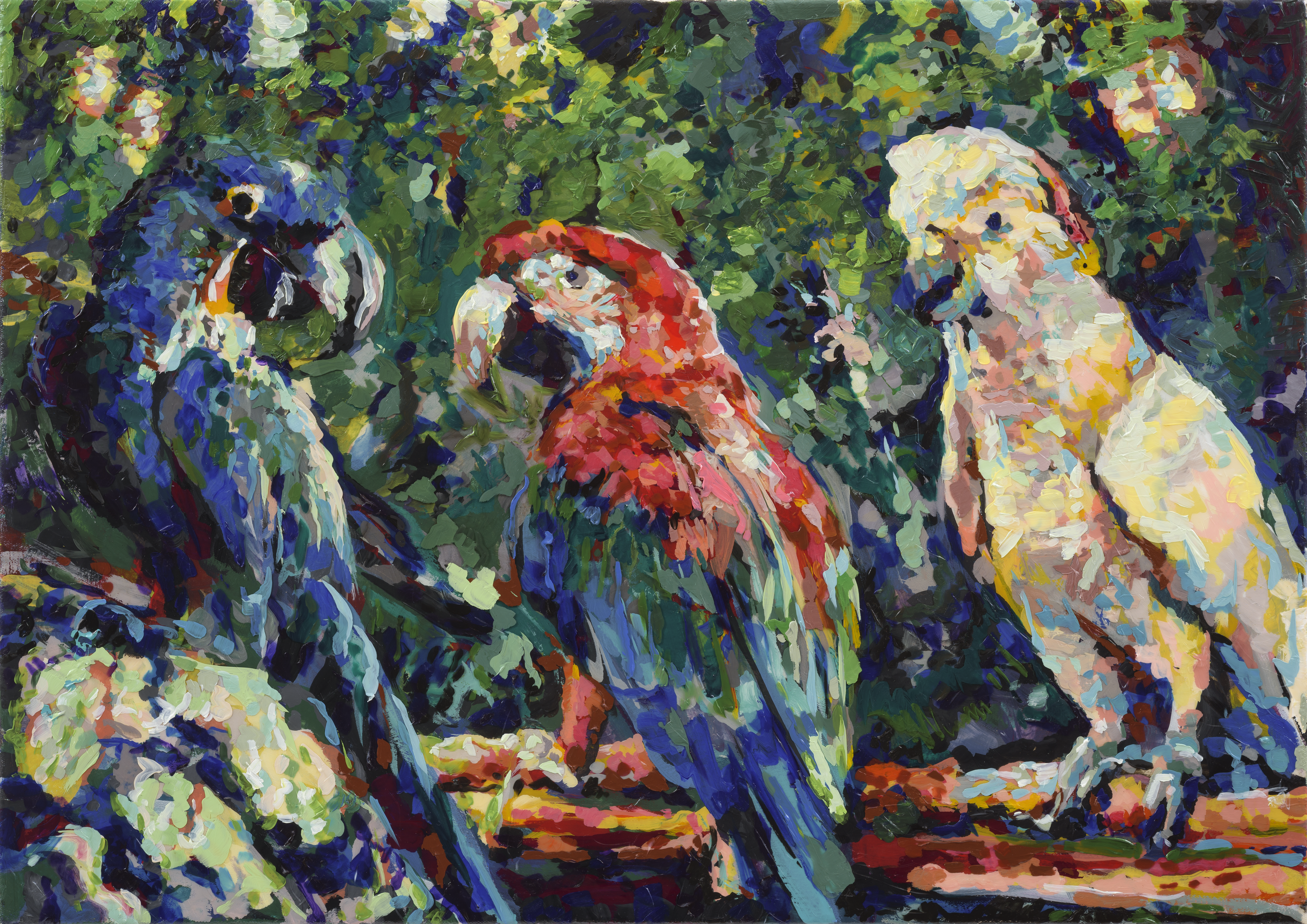 Three Parrots